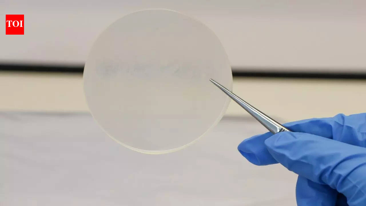 दूध प्लास्टिक? वैज्ञानिकों ने पारिस्थितिक प्लास्टिक बनाया जो केवल 13 सप्ताह में विघटित हो जाता है |