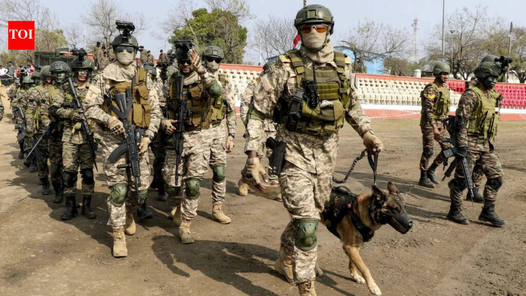 पुलिस गोलीबारी में दो लोगों की मौत के बाद मेघालय में सेना की टुकड़ियां तैनात; कर्फ्यू सेट | भारत समाचार