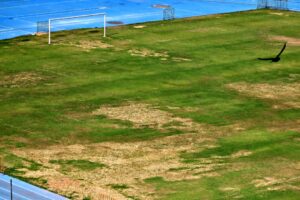 मैदान सबसे अच्छी स्थिति में नहीं है, लेकिन जेएलएन स्टेडियम में सीएफसी के घरेलू खेल जारी हैं | चेन्नई समाचार