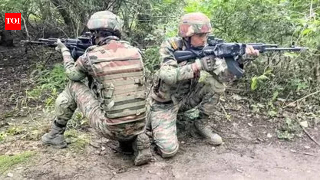 राजौरी में घुसपैठ की कोशिश नाकाम, पाक आतंकवादी ढेर | भारत समाचार