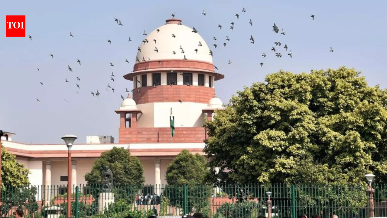 ‘क़ानून में अस्थिर’: SC के नियम, ओबीसी क्रीमी लेयर का दर्जा केवल आय के आधार पर तय नहीं किया जा सकता | भारत समाचार