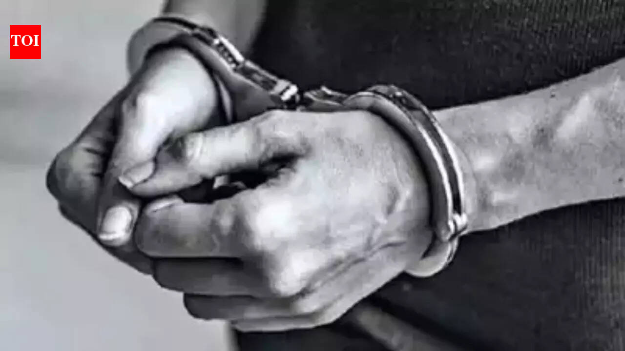 11 भारतीय नागरिकों पर अमेरिकी अपराध पीड़ितों के वीजा के लिए आवेदन करने के लिए डकैतियां आयोजित करने का आरोप लगाया गया