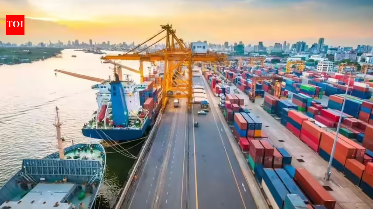 निर्यातकों को सहायता पैकेज मिलने की संभावना | भारत समाचार