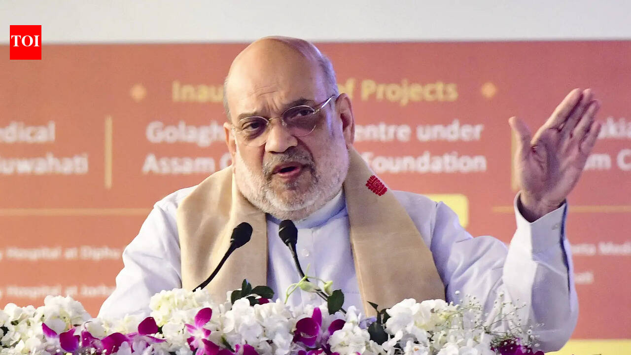 ‘राहुल गांधी ने भारत को बदनाम किया’: दिल्ली एआई शिखर सम्मेलन में युवा कांग्रेस के शर्टलेस विरोध पर अमित शाह | भारत समाचार