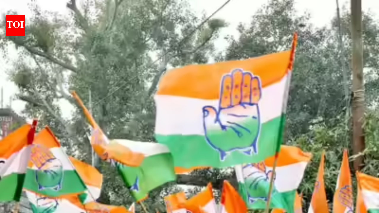 चुनावी असफलताओं के लंबे दौर को खत्म करने के लिए कांग्रेस ने केरल पर दांव लगाया | भारत समाचार