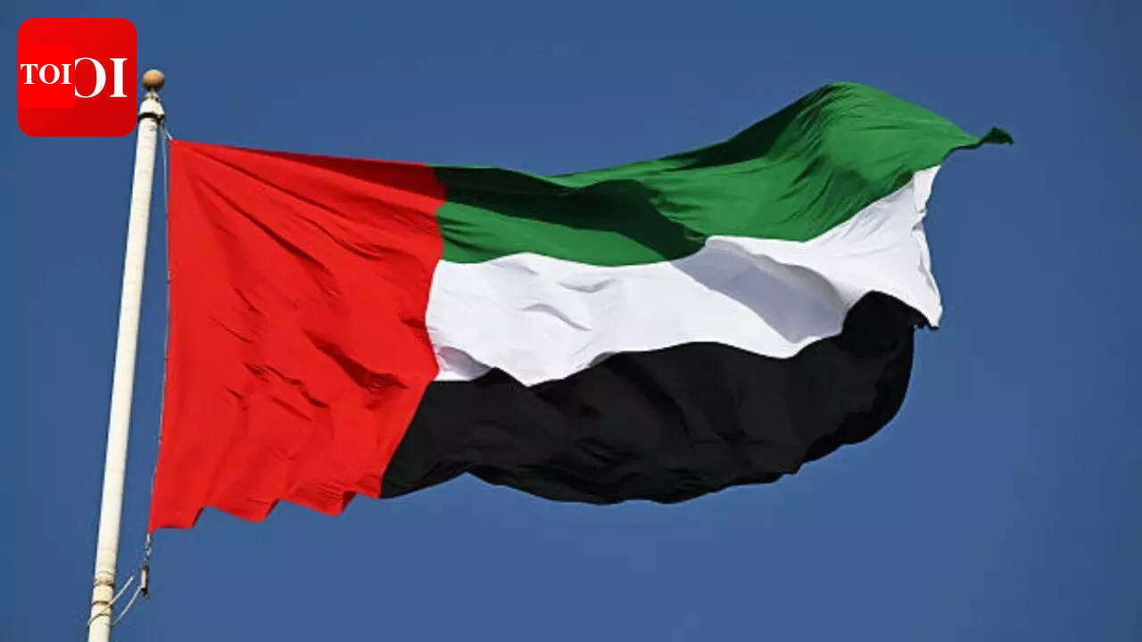 यूएई समाचार: यूएई में फंसे प्रवासियों ने भारत से घर लौटने की कष्टदायक यात्रा का खुलासा किया | विश्व समाचार