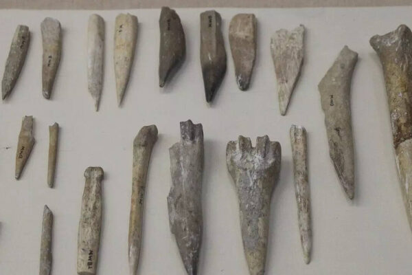 सऊदी अरब: सऊदी समाचार: नेफुड रेगिस्तान में मिली 13,500 साल पुरानी बस्ती, 120 मील के व्यापार लिंक ने पुरातत्वविदों को चौंका दिया | विश्व समाचार