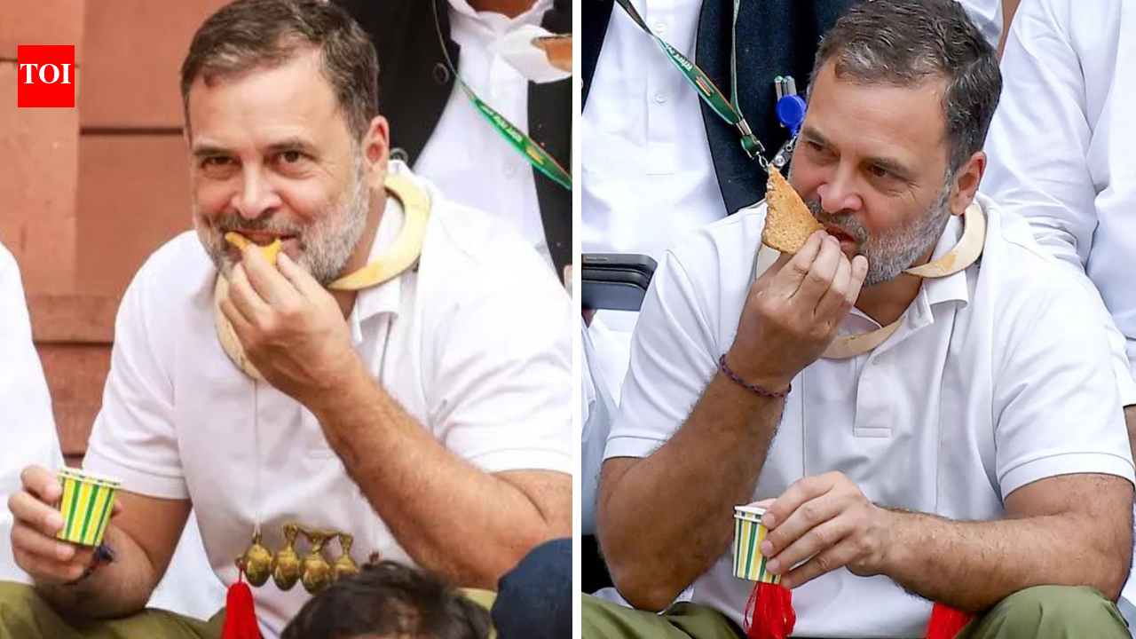 ‘राहुल गांधी को देश से माफी मांगनी चाहिए’: 204 सेवानिवृत्त अधिकारियों, सेना के दिग्गजों और अधिवक्ताओं ने संसद के आचरण पर खुले पत्र में एलओपी की आलोचना की | भारत समाचार