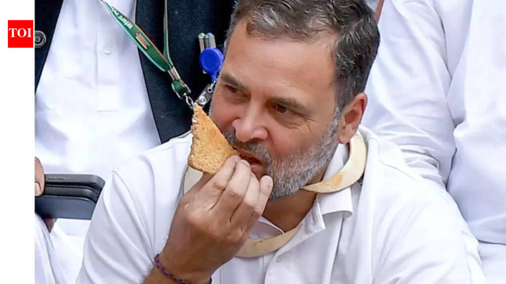 संसद में विरोध प्रदर्शन के लिए रिटायर अधिकारियों ने की राहुल गांधी से माफी की मांग | भारत समाचार