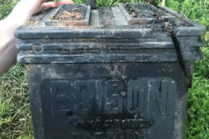 थॉमस एडिसन: क्यों थॉमस एडिसन का 1901 का बैटरी आविष्कार 21वीं सदी में बड़े पैमाने पर वापसी कर रहा है |